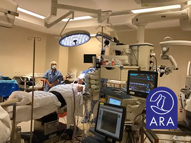 Manejo multimodal de cirugía coloproctológica. Introducción al sistema de cuidados ERAS. Dr. Javier Villaggi Dr. Germán Fontanella Dra. María Cecilia Demaría – Curso Universitario Anual de Actualización en Anestesiología y Medicina Perioperatoria